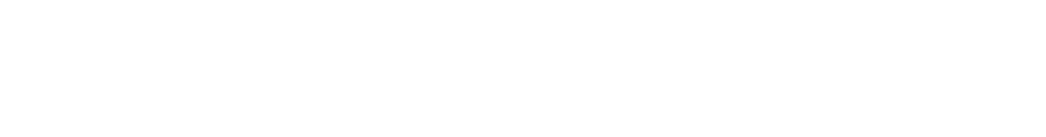 customAsset 3.png