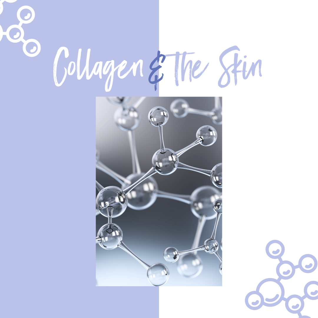 Collagen &amp; The Skin