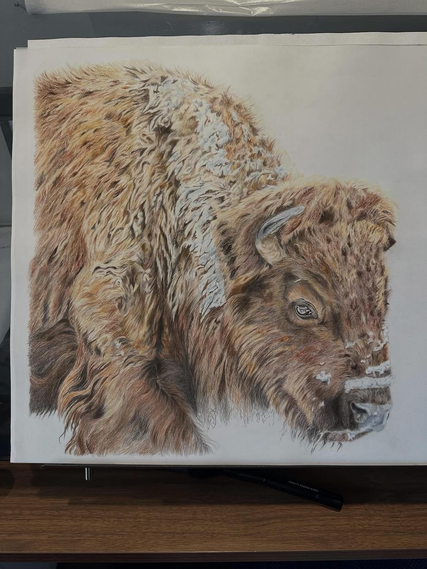 I am beyond honoured&hellip;..This stunning drawing is based on a photograph I took in Yellowstone National Park, brought to life by the incredibly talented local artist Nicola McMahon. Nicola has spent over a year (countless hours) turning my image 