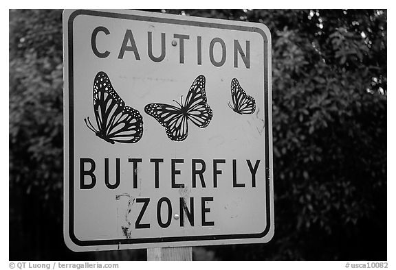 usca10082-bw.jpeg