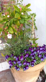 20160401_104428.jpg