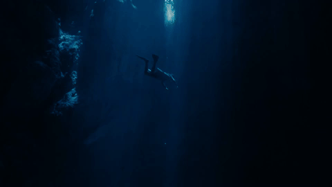 the dive gif.gif