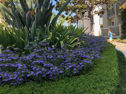 IMG_5584.jpeg