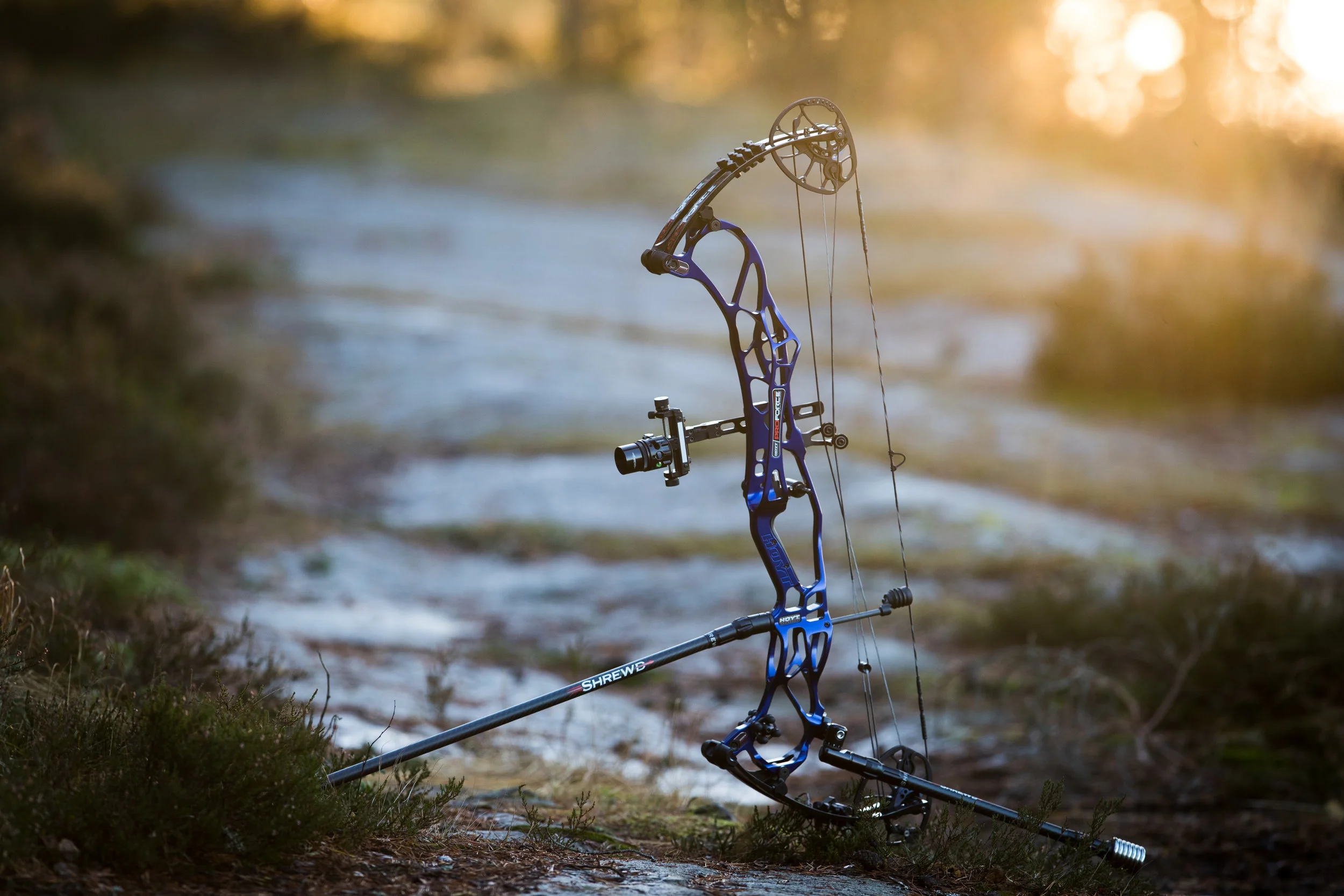 Hoyt Pro Force