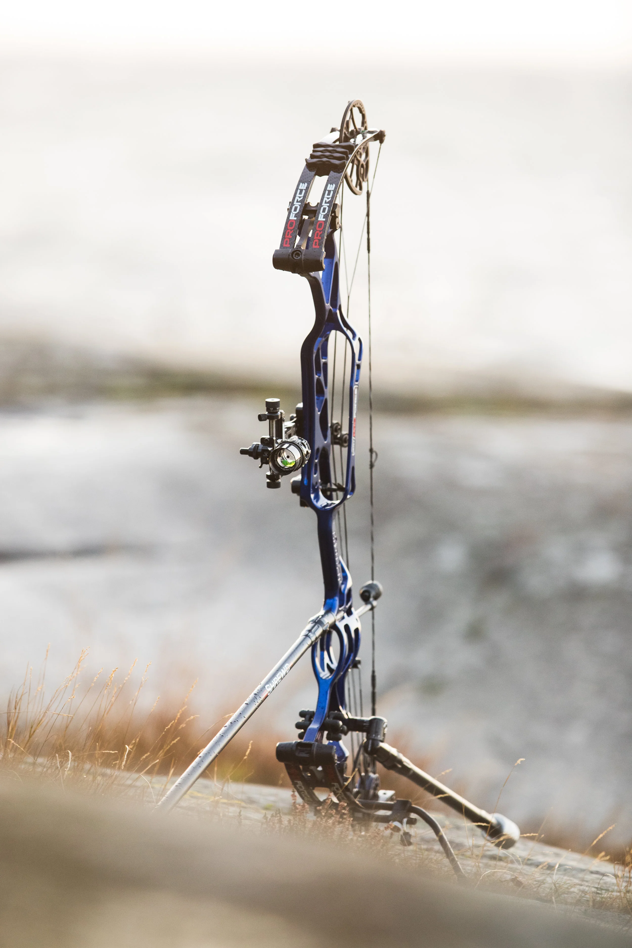 Hoyt Pro Force