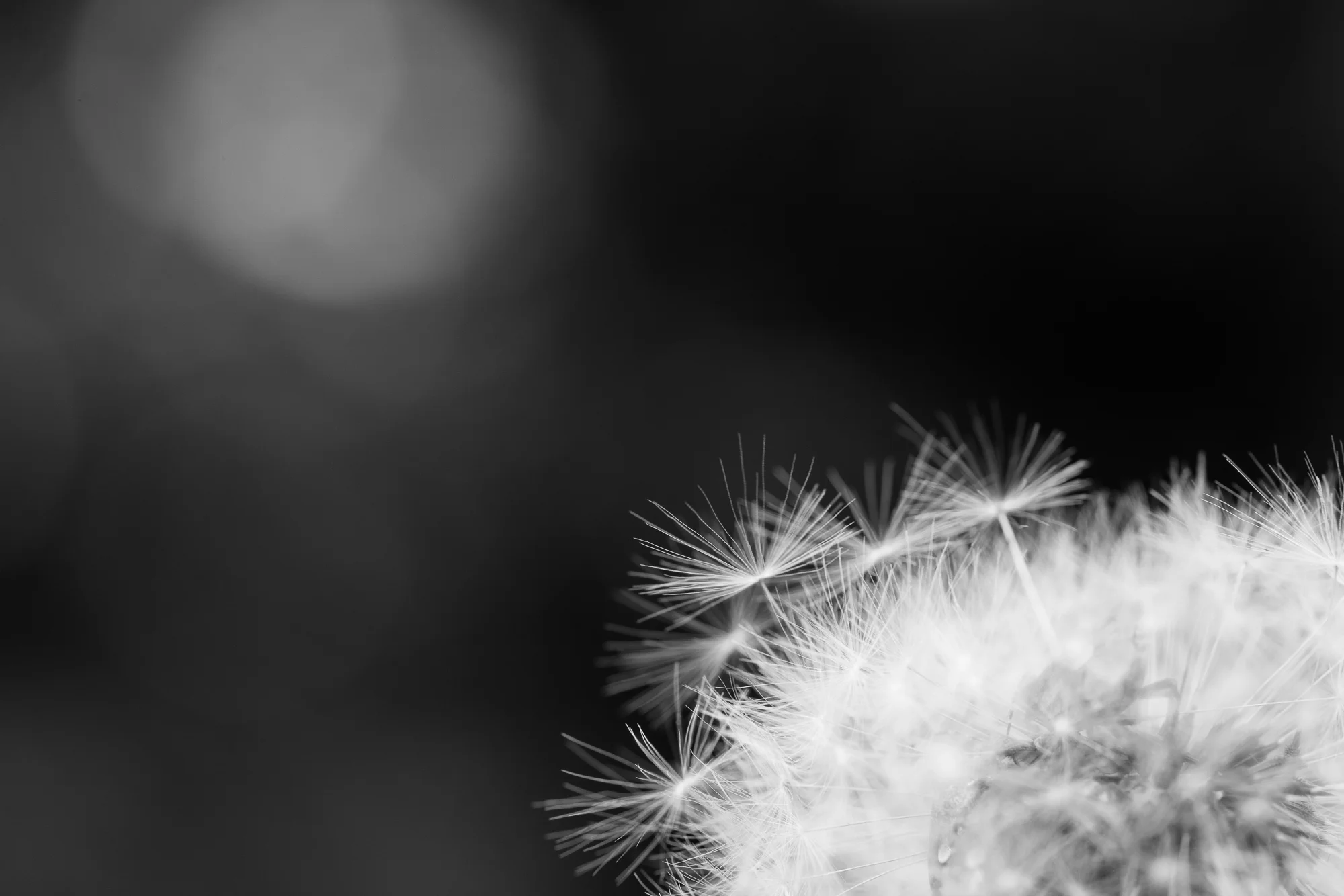 20170602-_DSC4817.jpg