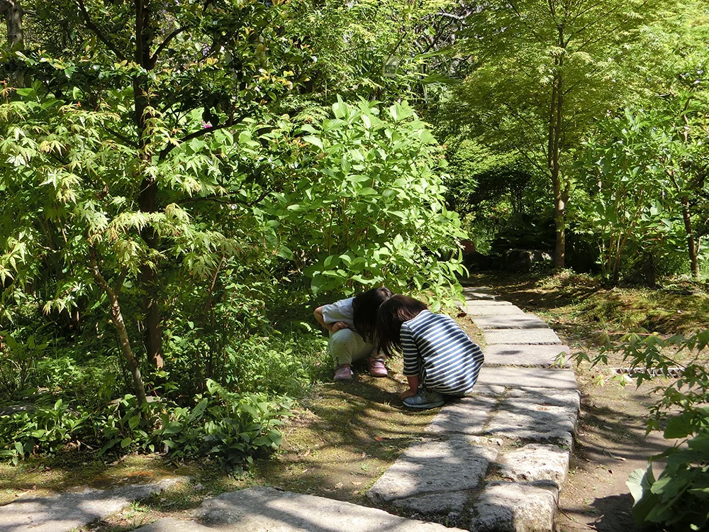 ehon1.jpg