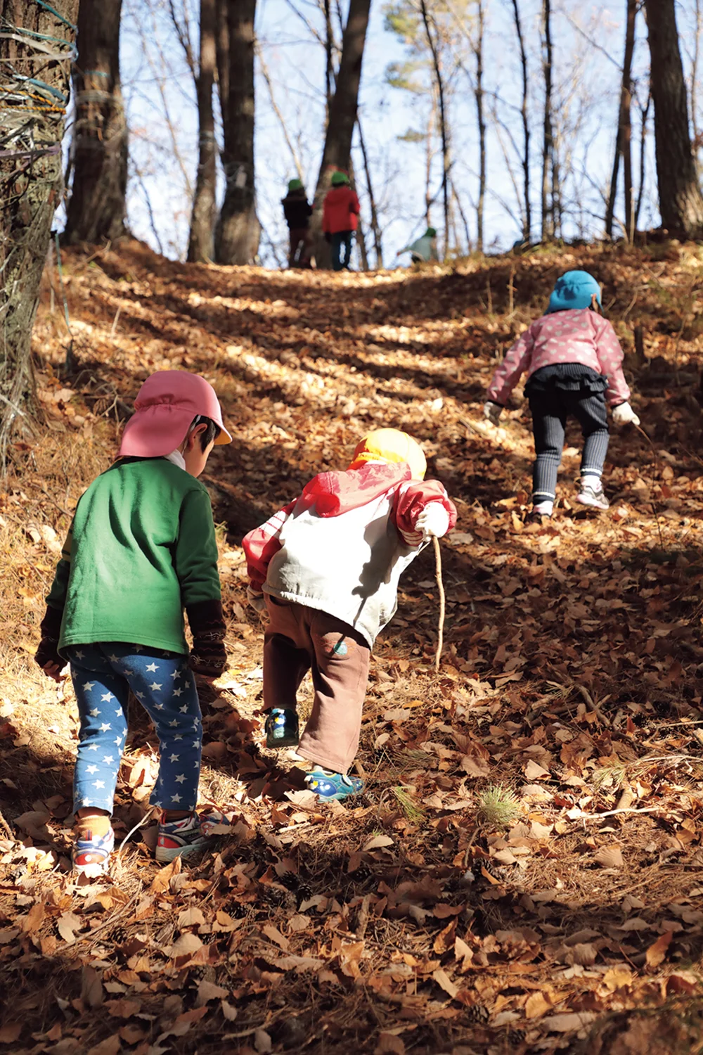 傾斜が急な山道を上手に登る子どもたち。小さい子の手を引く姿も