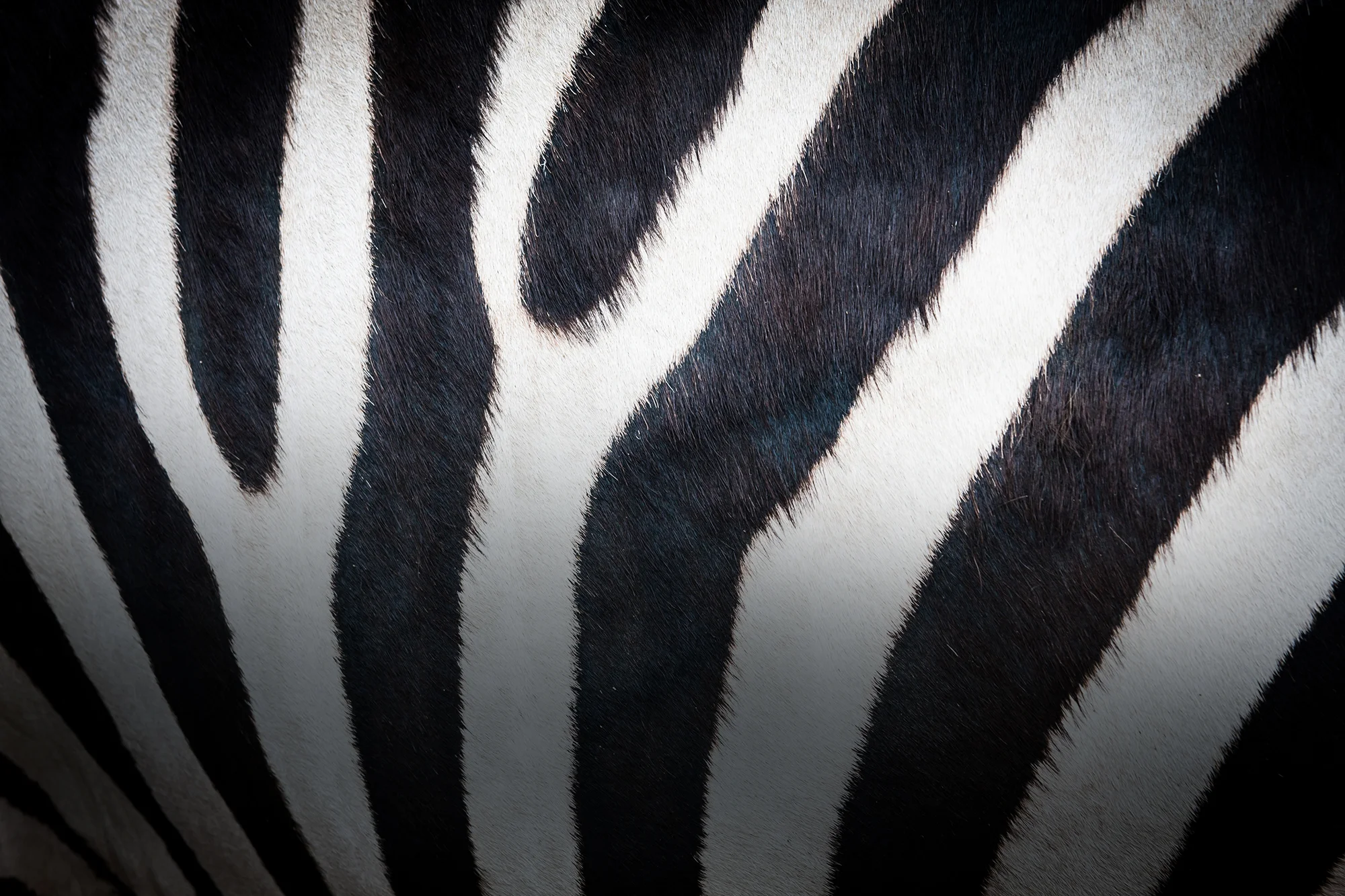 Your Brand is what other people say about you when you are not present in the room