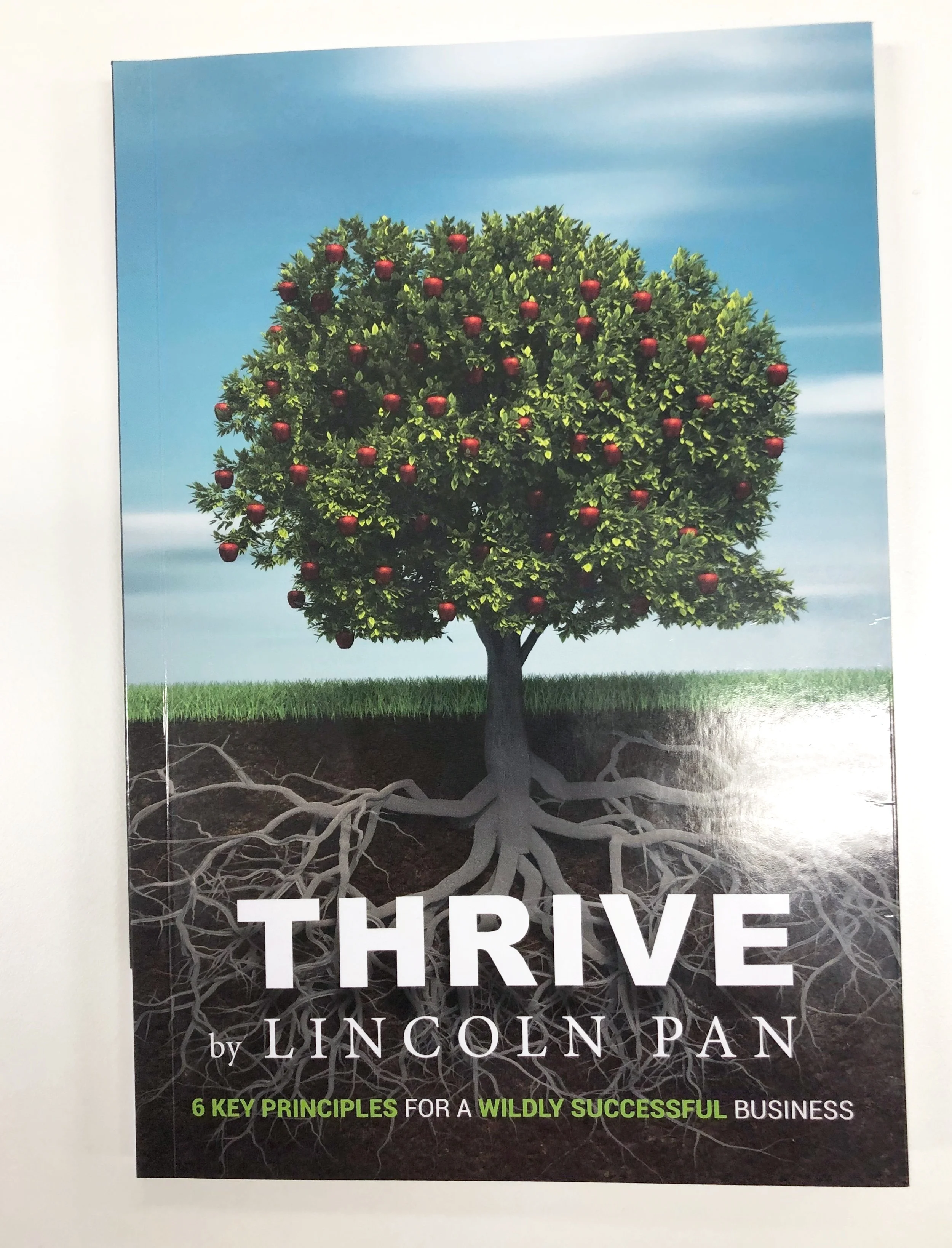 Lincoln Pan launches his new book | THRIVE