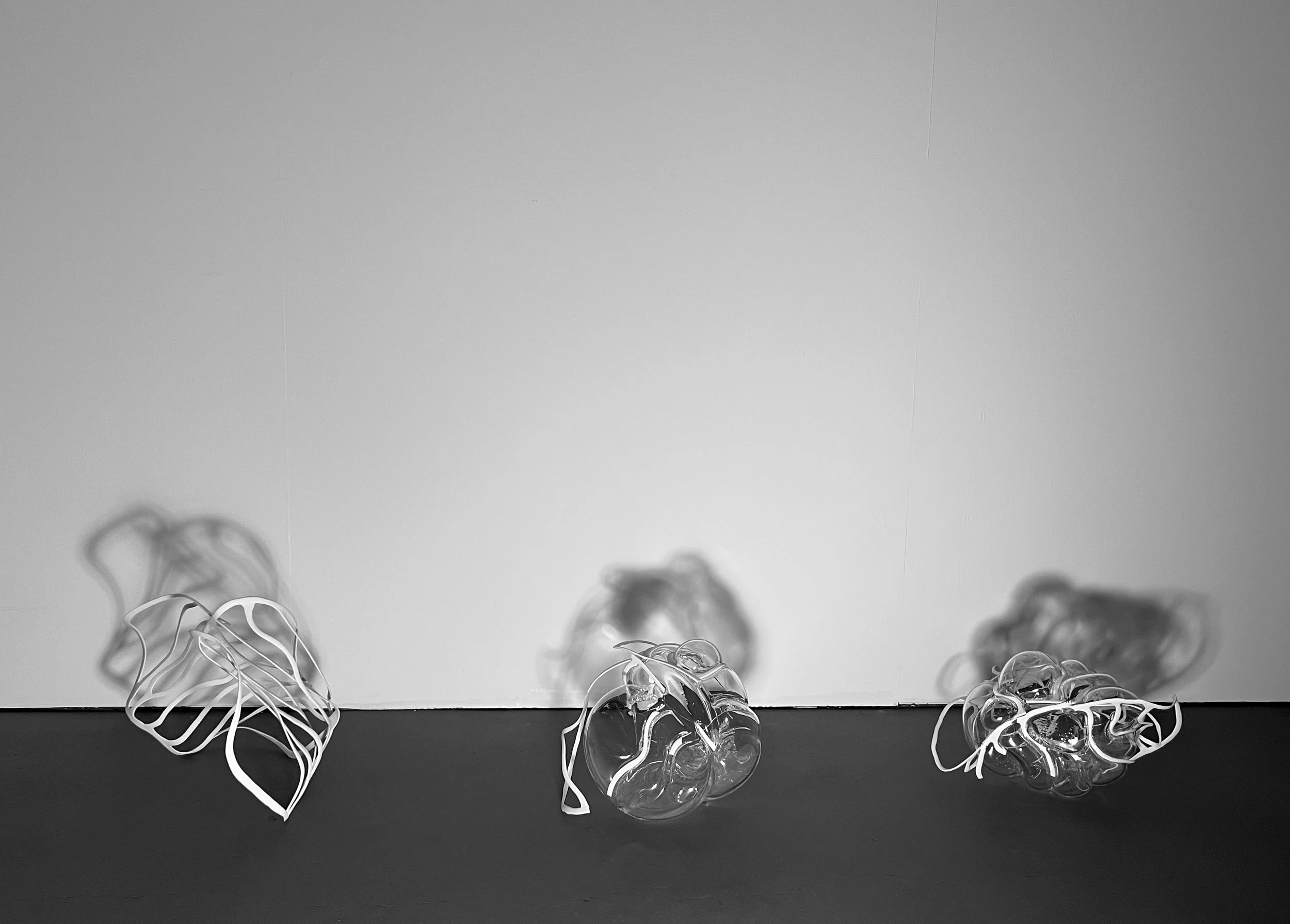 'Transpositions of Presence.'