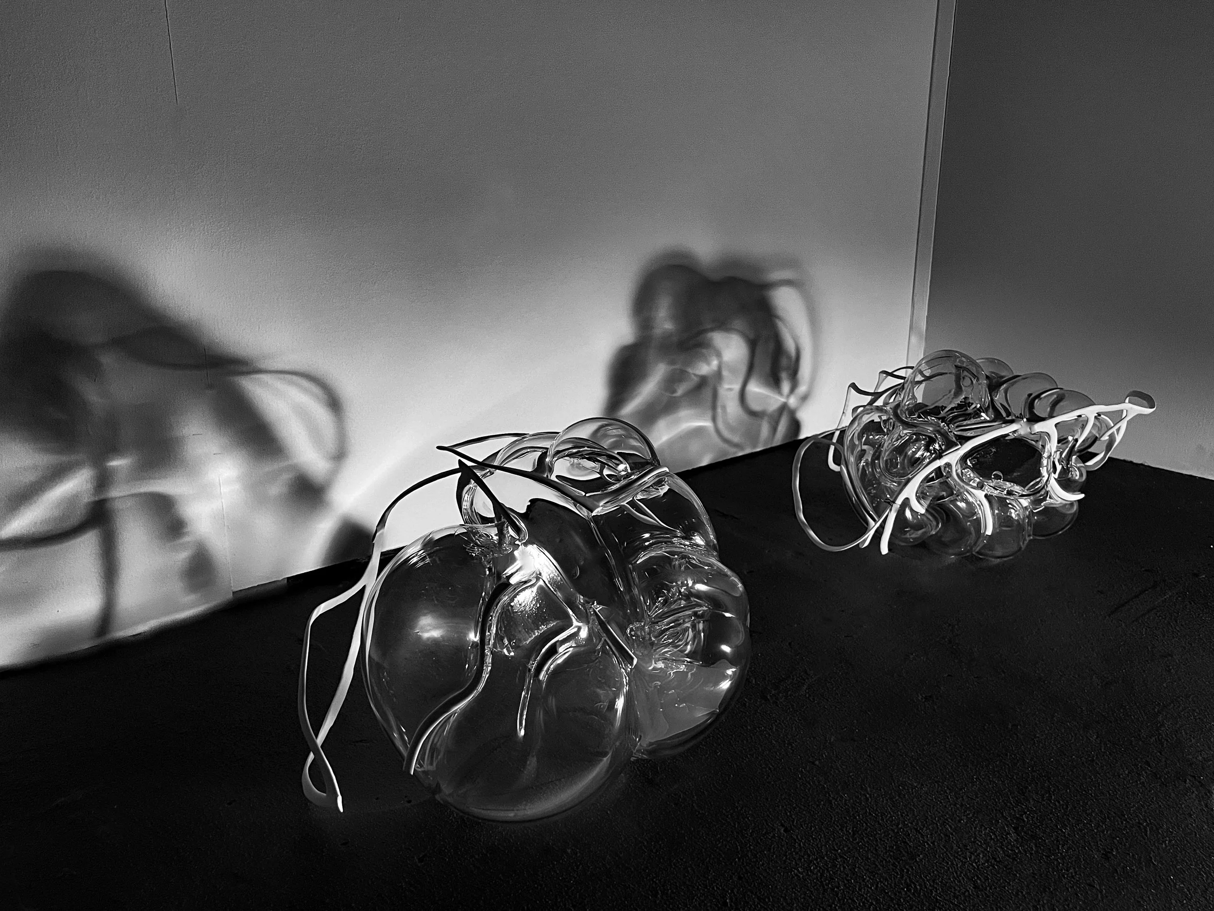 'Transpositions of Presence.'