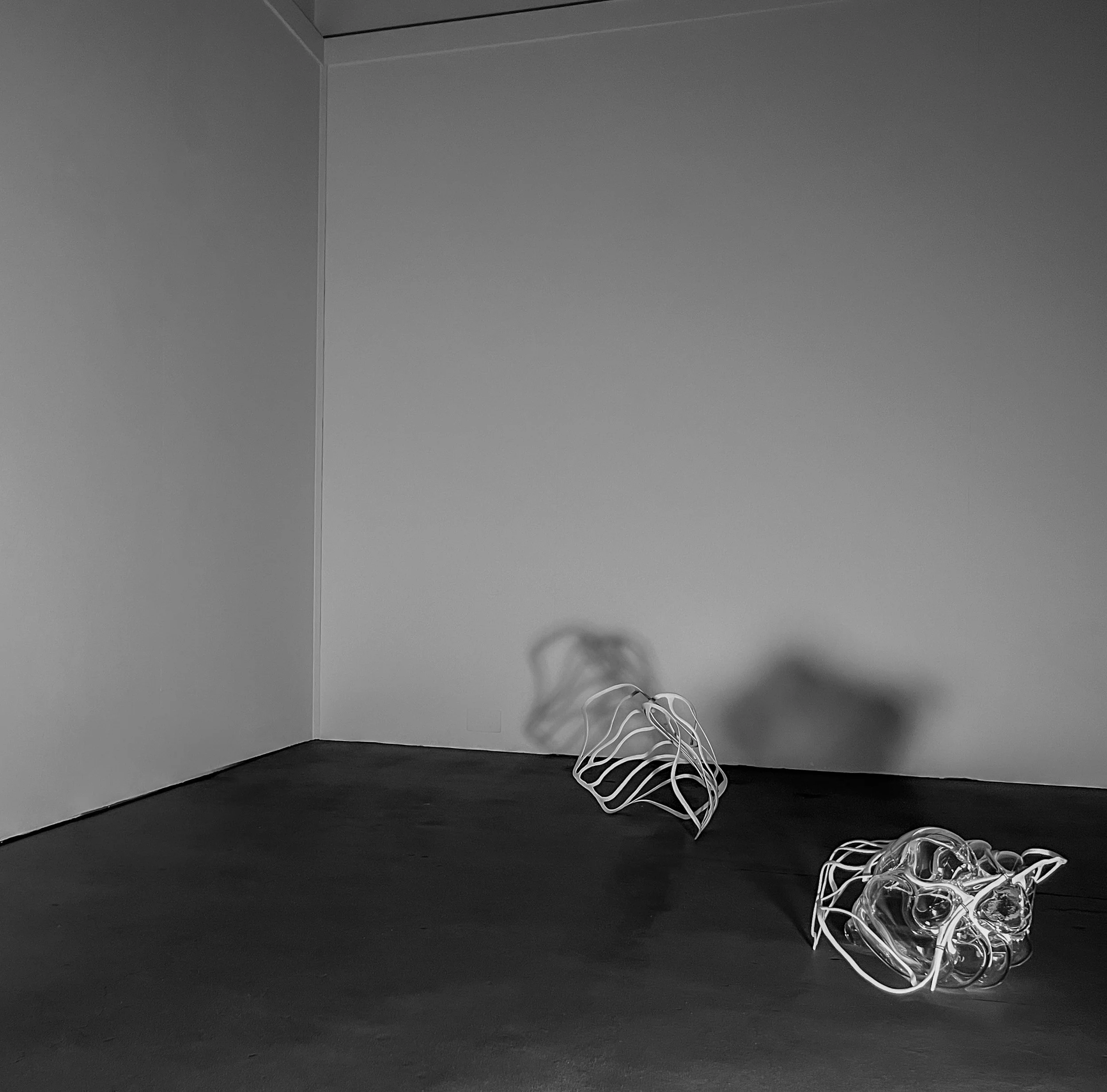 'Transpositions of Presence.'