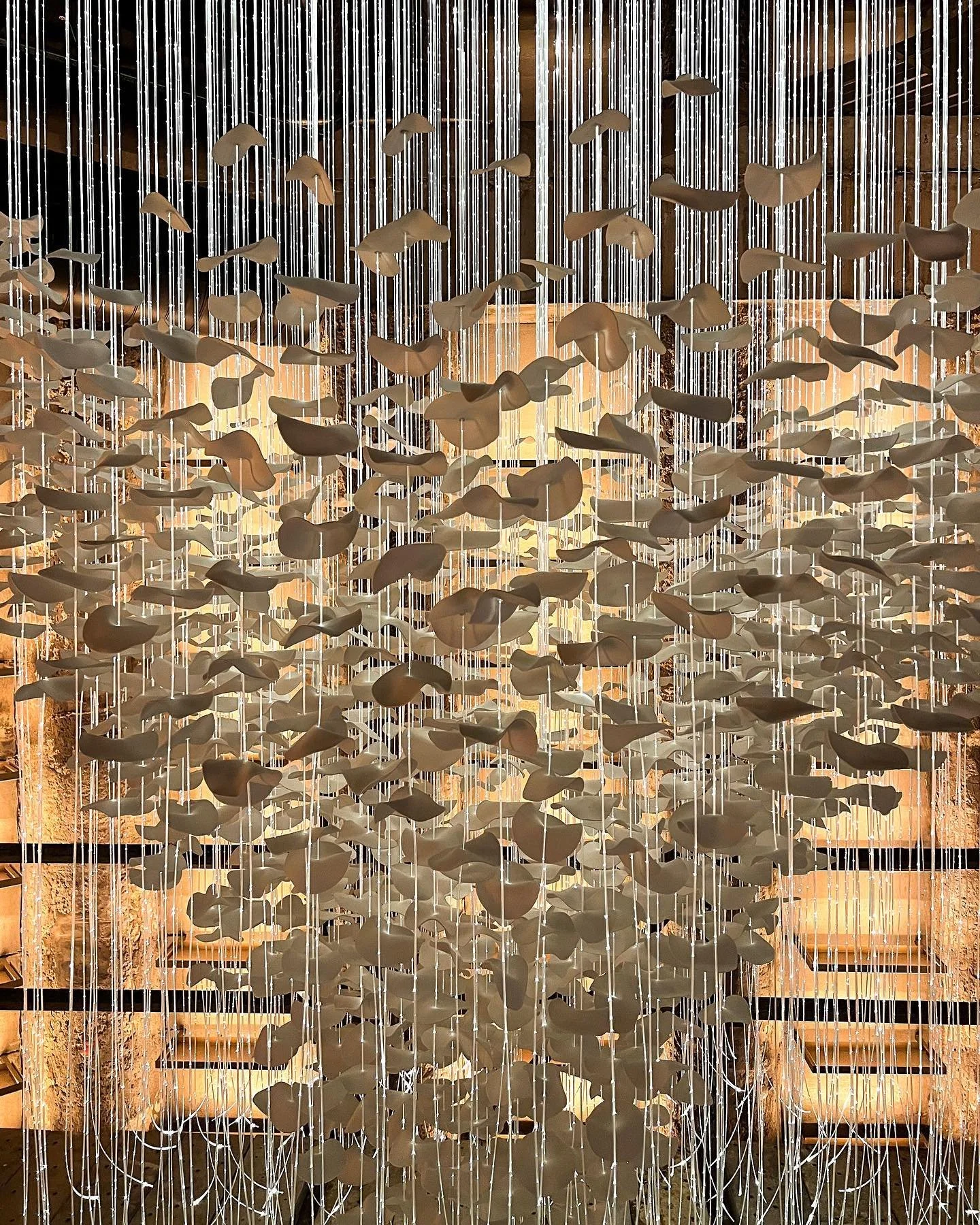 ⁣
Installation details:⁣
⁣
Two thousand porcelain forms threaded, ready to reposition into shape, to sculpt the overall landscape of the installation.⁣
⁣
The hand formed attenuated porcelain transmits light, creating a multitude of beautiful tones an