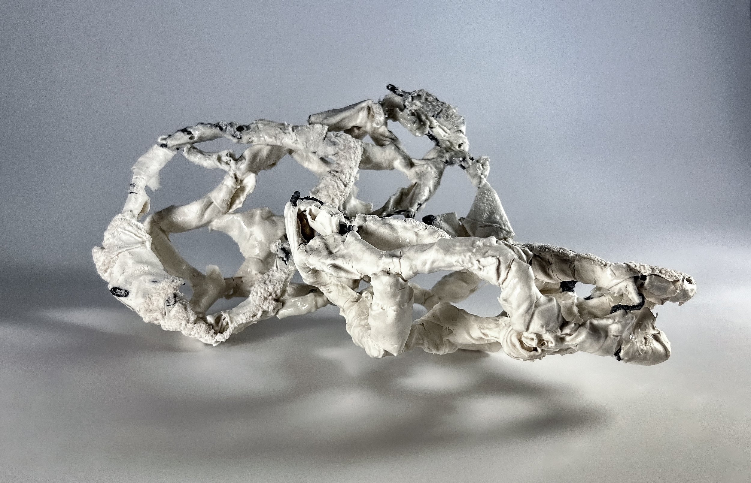 IMG_6918-3-2 copy.jpg