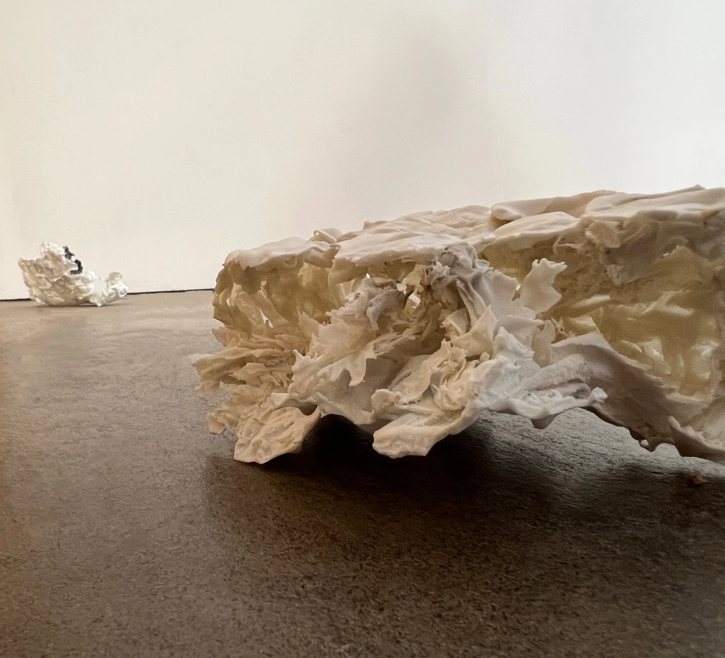 IMG_4553_3 cropped.jpg