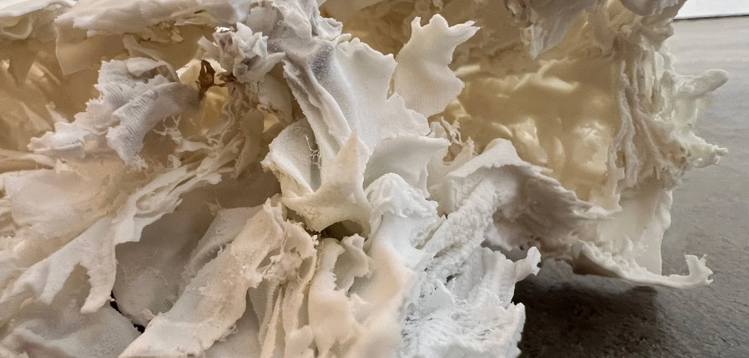 IMG_4591_2 copy_cropped.jpg