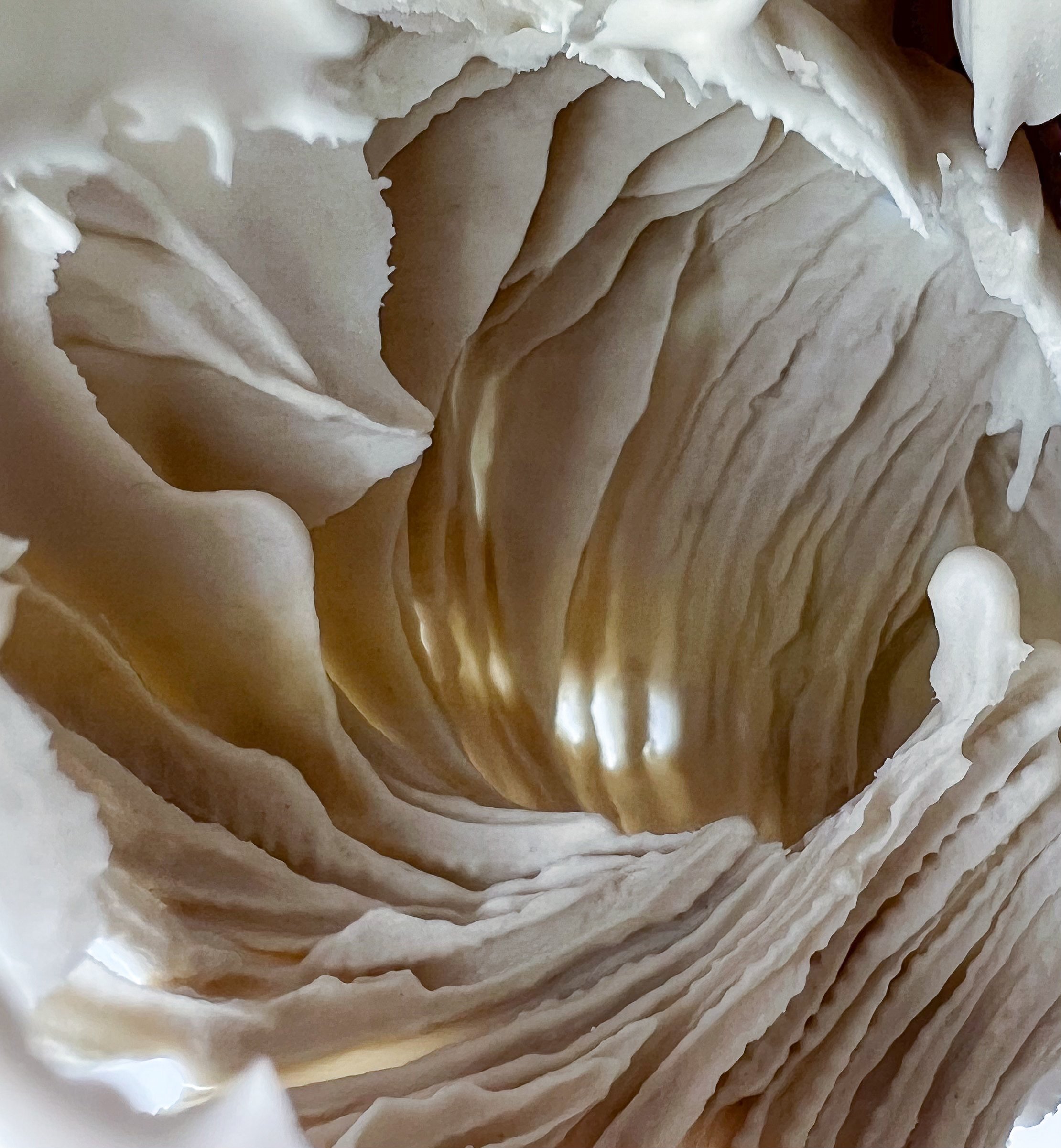 Fragments of Memories (detail) .jpg