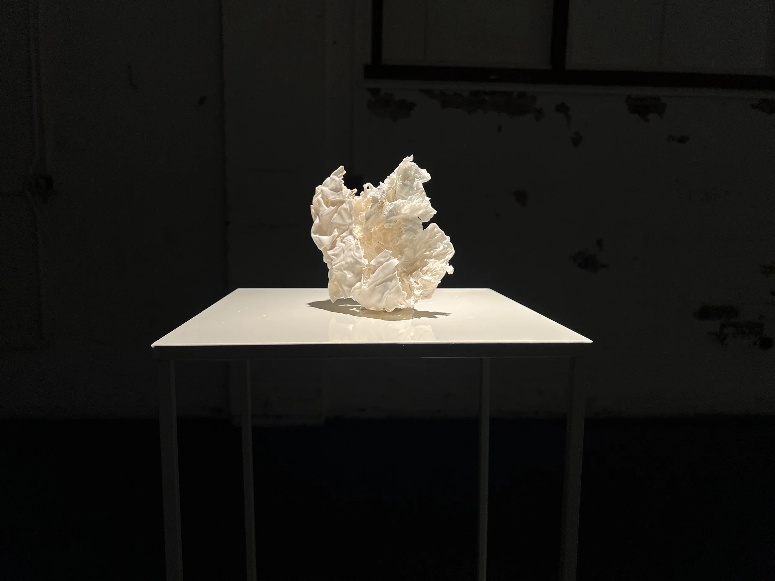 Conroy-Smith_Jennifer_IMG_7746.JPG