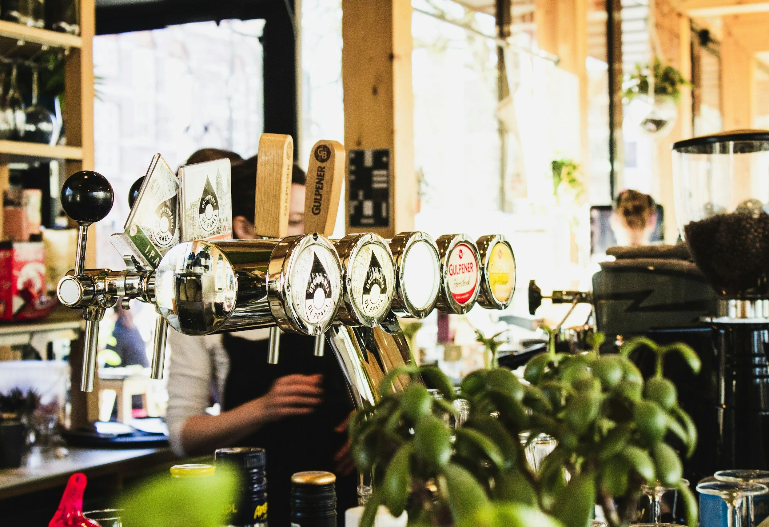 A bar inside a café with beer taps, bottles, and a plant in the foreground, and blurred people and shelves in the background.