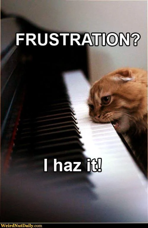 frustrationcat.jpg