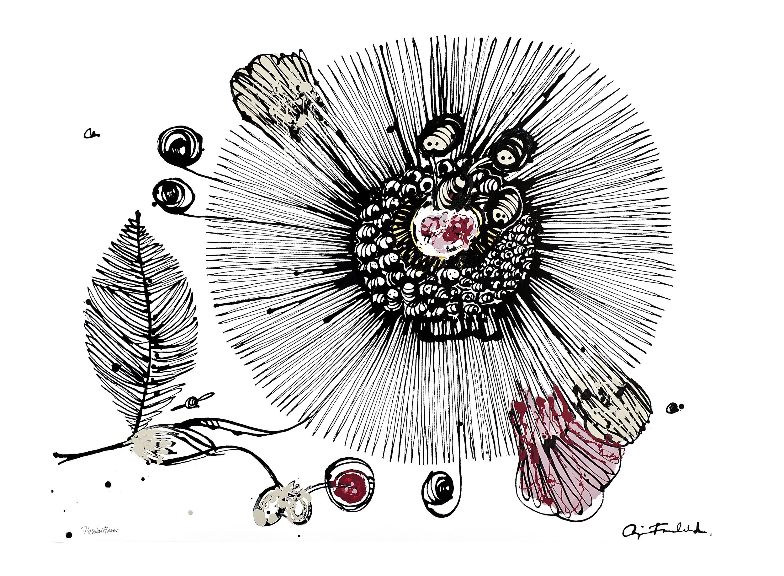 Passionflower.jpg