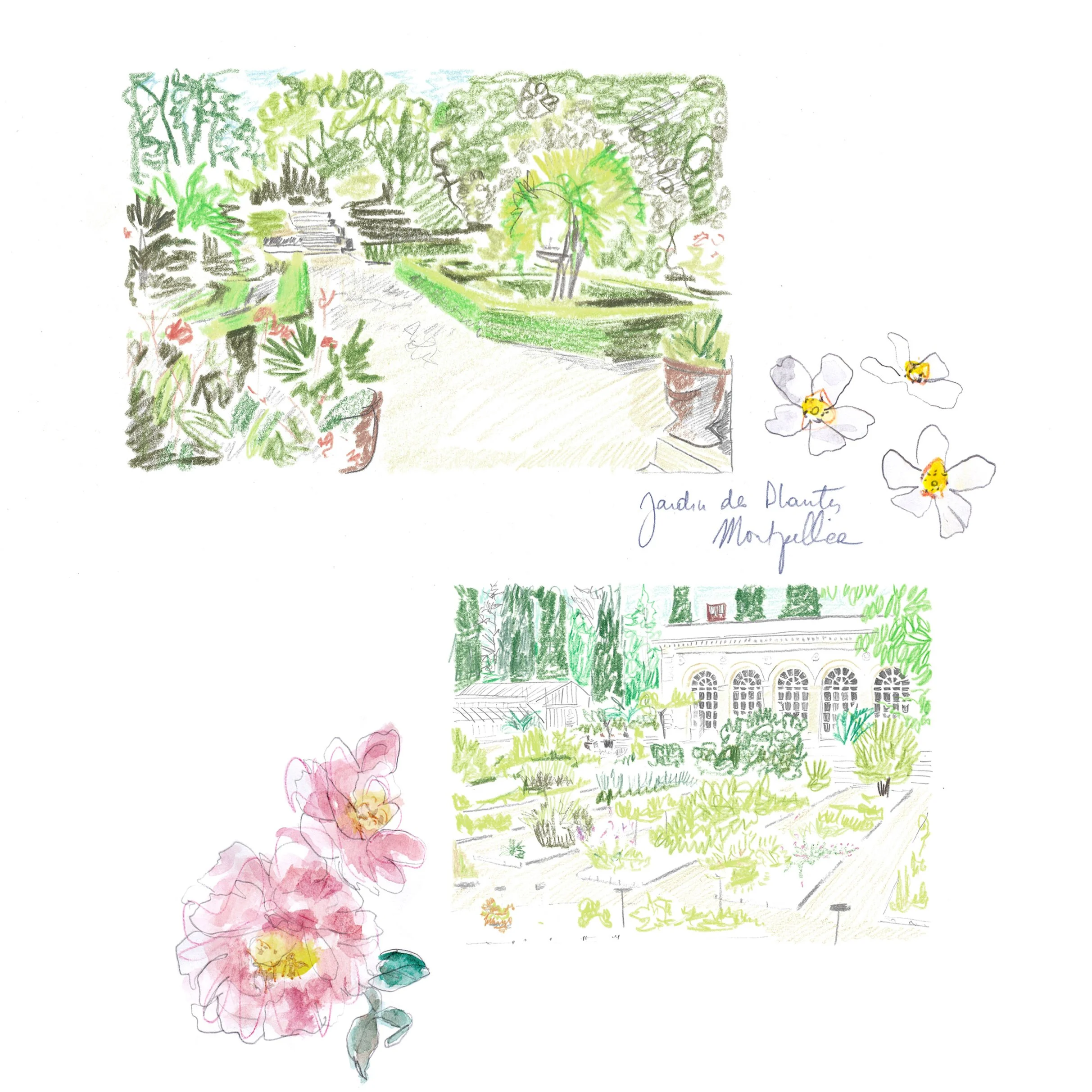 JARDIN DES PLANTES 2 - copie.jpg