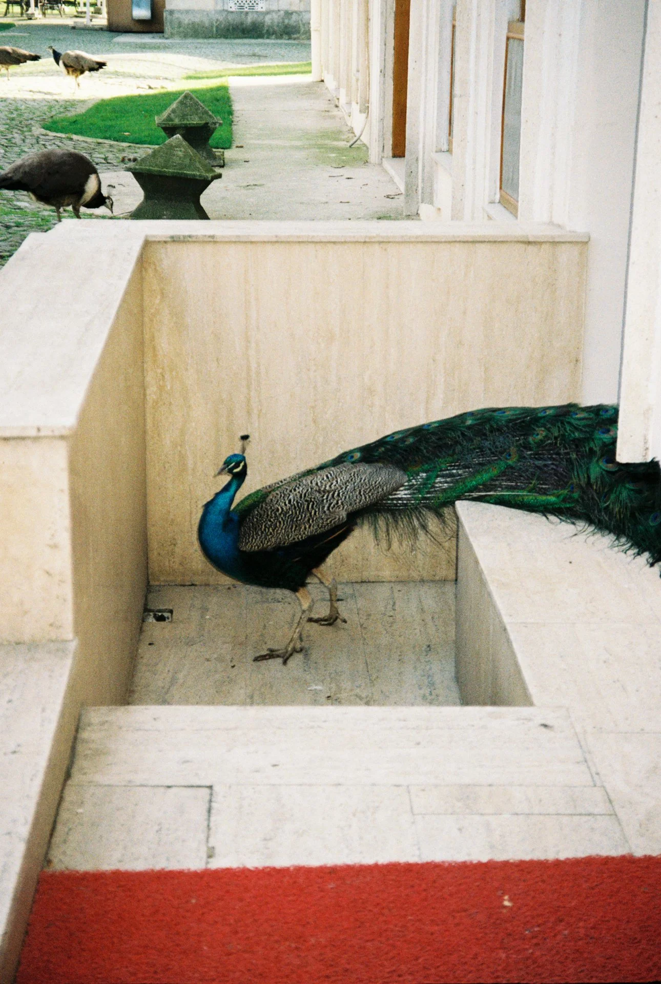 R1-07257-0030.jpeg