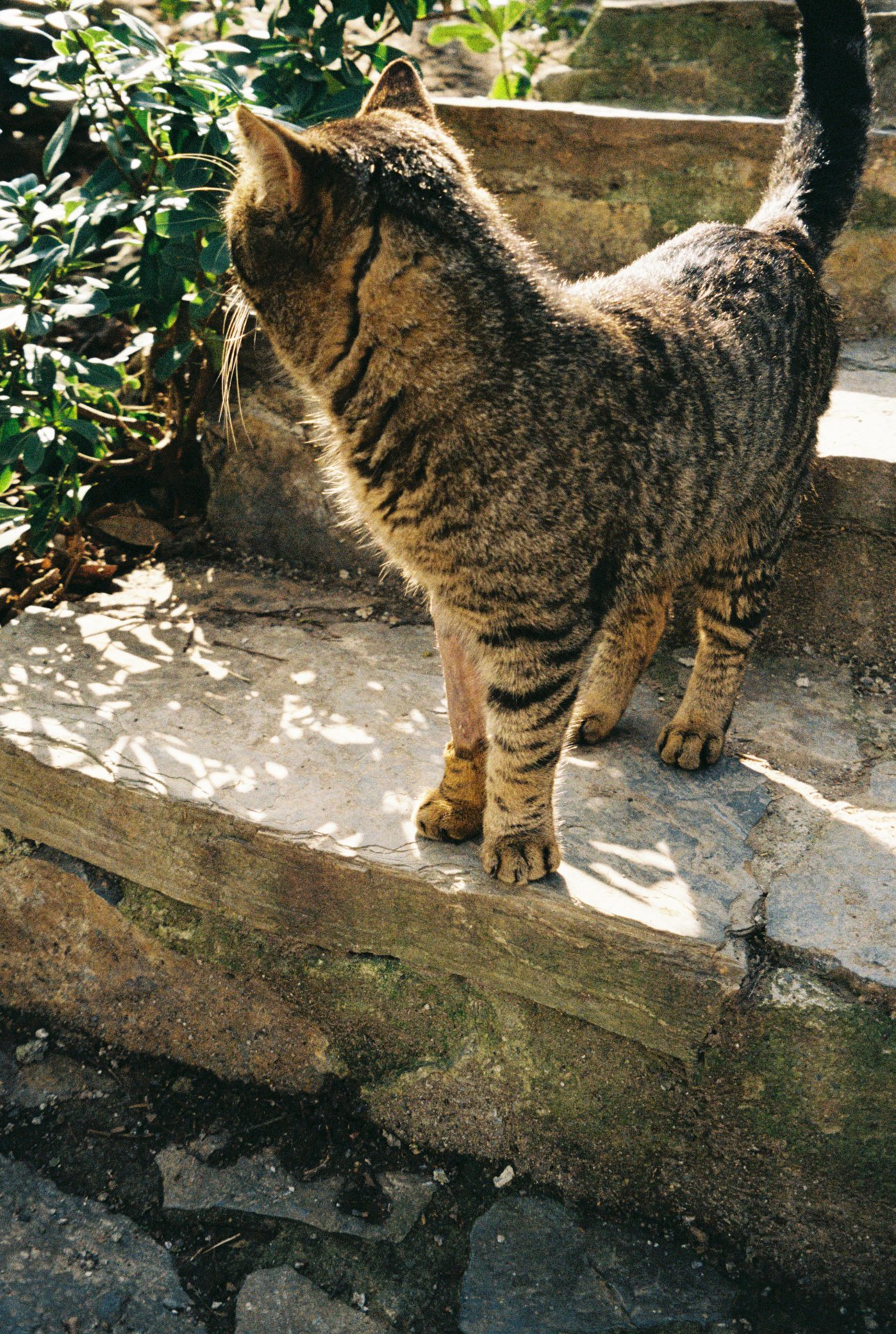 R1-07257-0035.jpeg