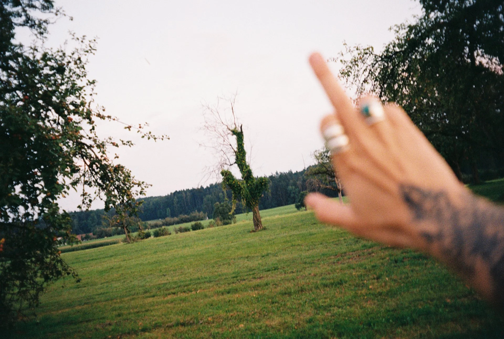 R1-07257-0004.jpeg