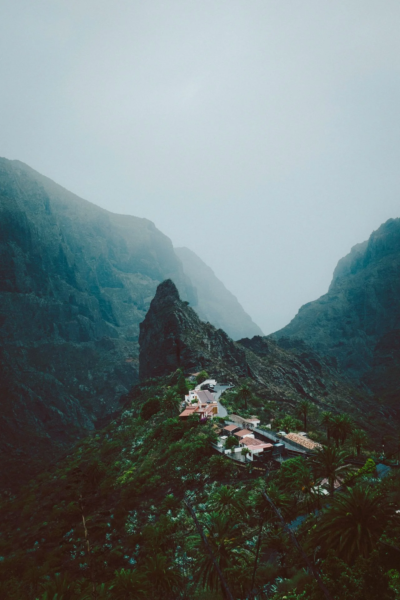 220927-Tenerife_©Nikita-Thévoz_web_10.jpeg