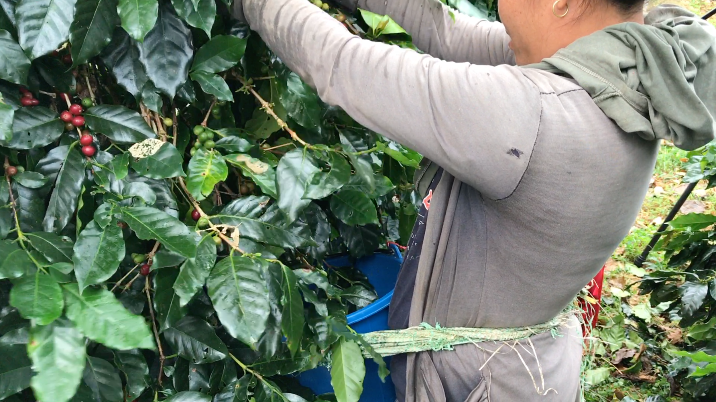 Skärmklipp 2017-11-30 12.39.19.png