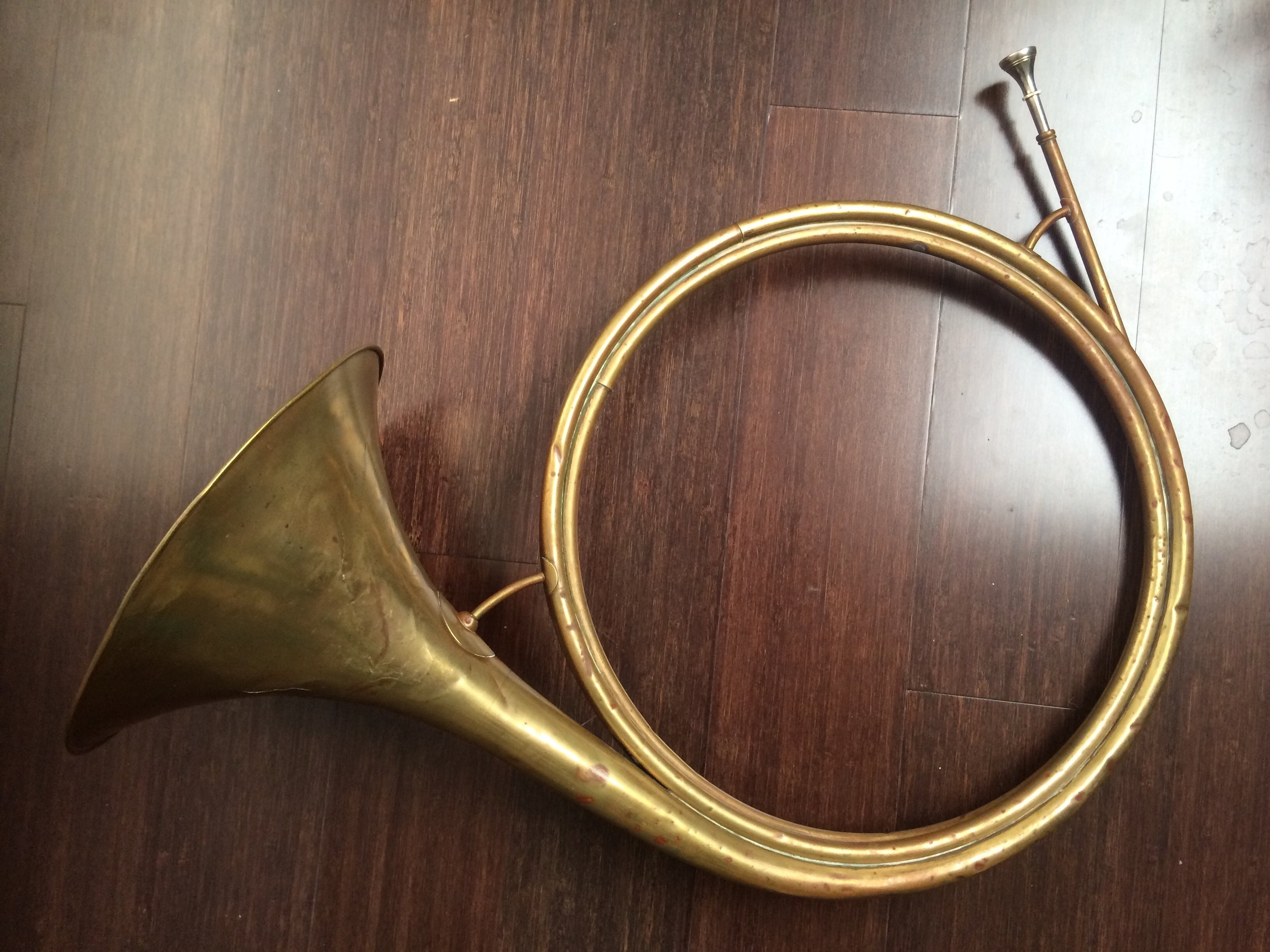 A short history of the horn — Anneke Scott