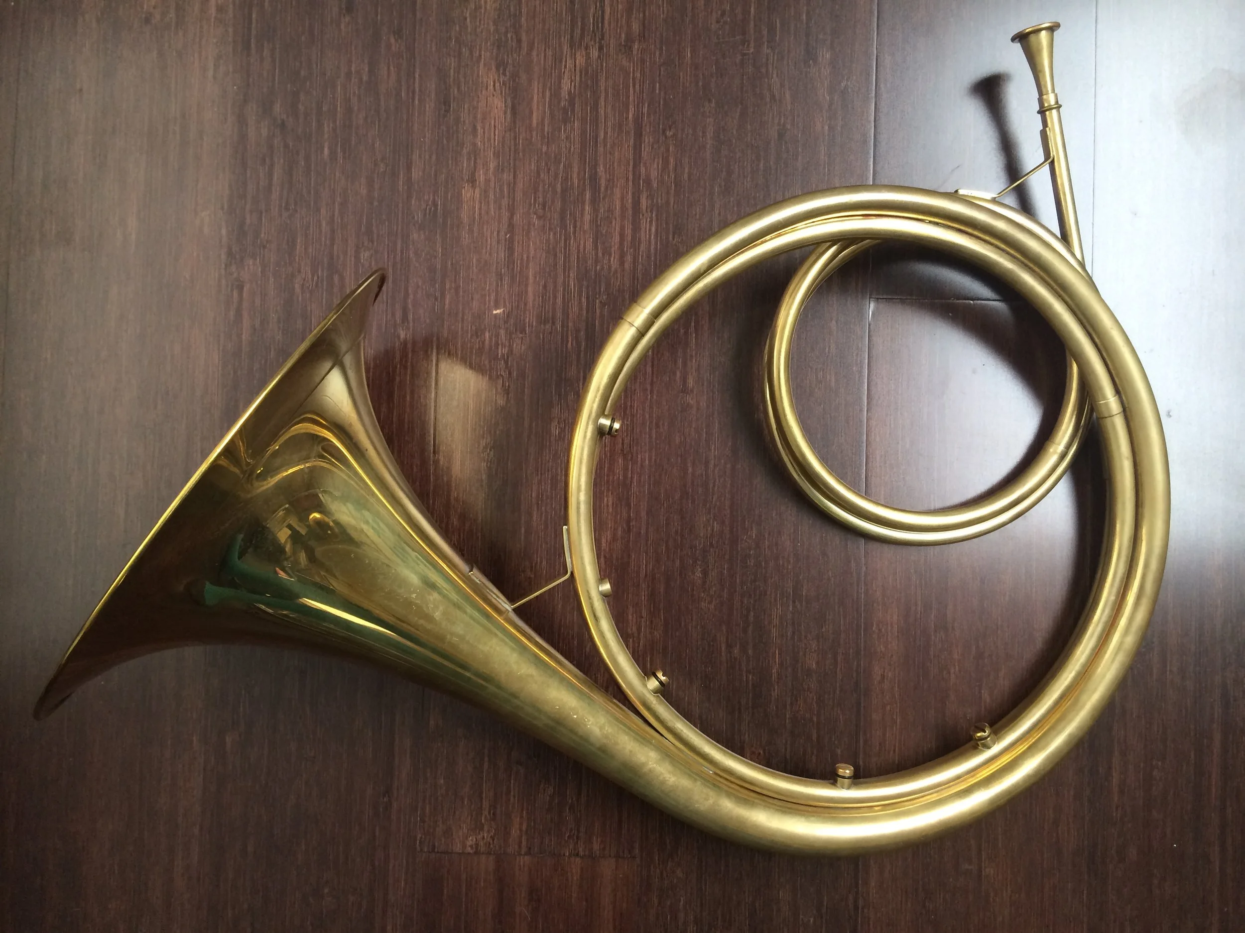 A short history of the horn — Anneke Scott