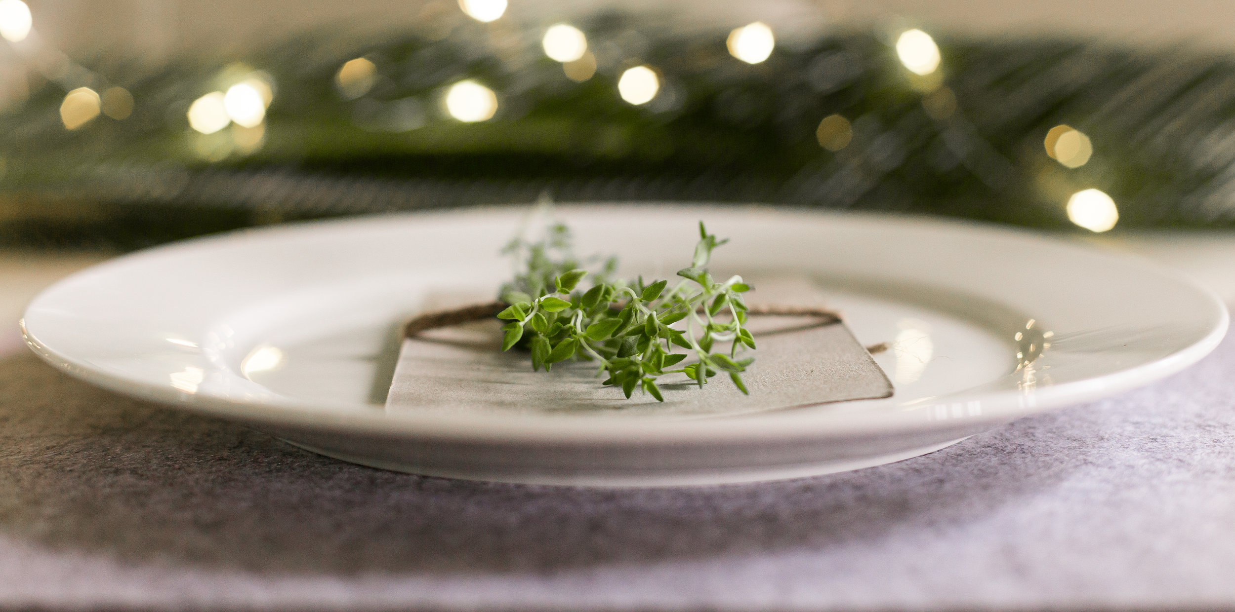 Lets_Celebrate_Party_Hireuntitled shoot-20170209-018.jpg