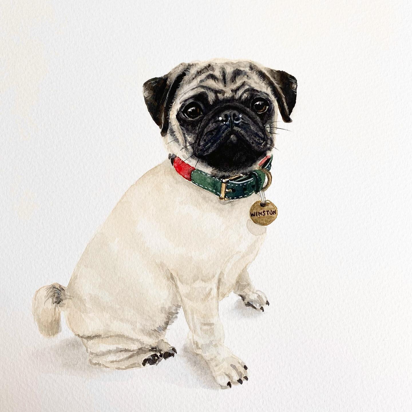 Aren&rsquo;t pugs the cutest dogs ever? 🖤
This little guy was a total joy to paint over the festive season.
Taking more commissions this year, if you&rsquo;re interested in one just send me a DM or email 📧 
.
.
.
.
.
#petportrait #pugsofinstagram #