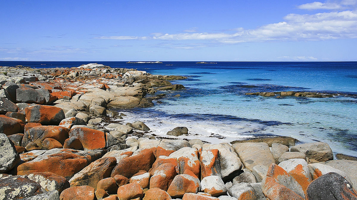 Luxury Tasmanian Landscape Adventure, Landscape Supplies North West Tasmania