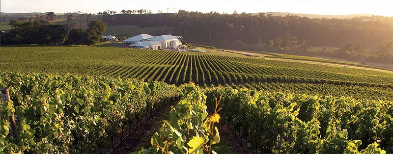 The gorgeous Bay of Fires Winery