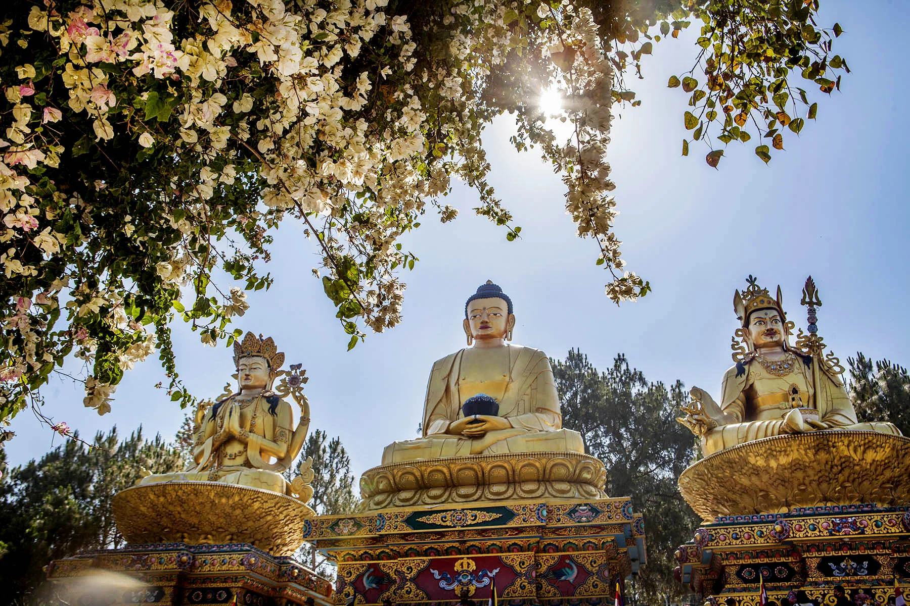 Swayambhu, kathmandu, Nepal (2015)