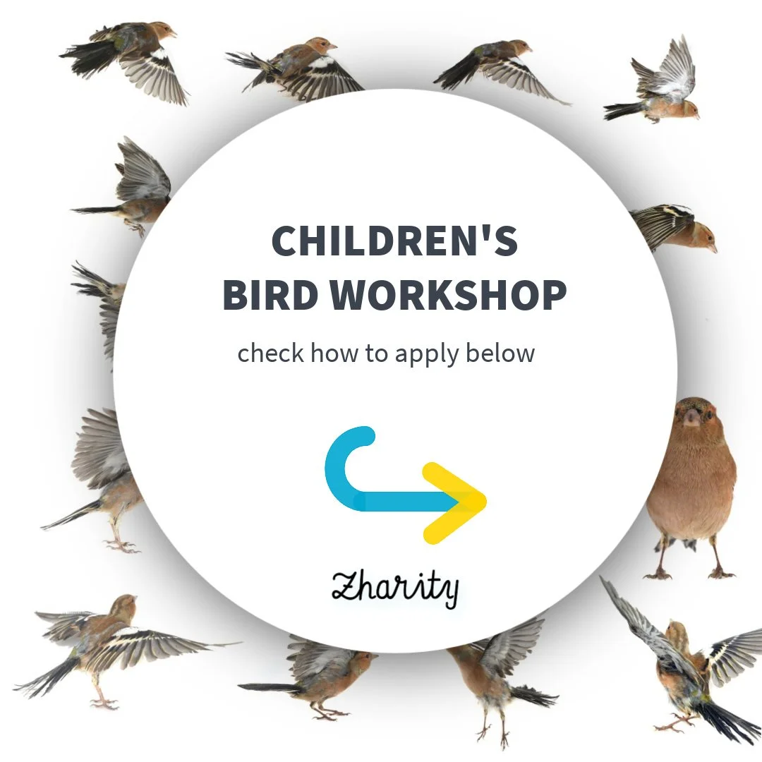 Zharity’s Bird Workshops for Kids (in English) - and Bird Race Sponsorship