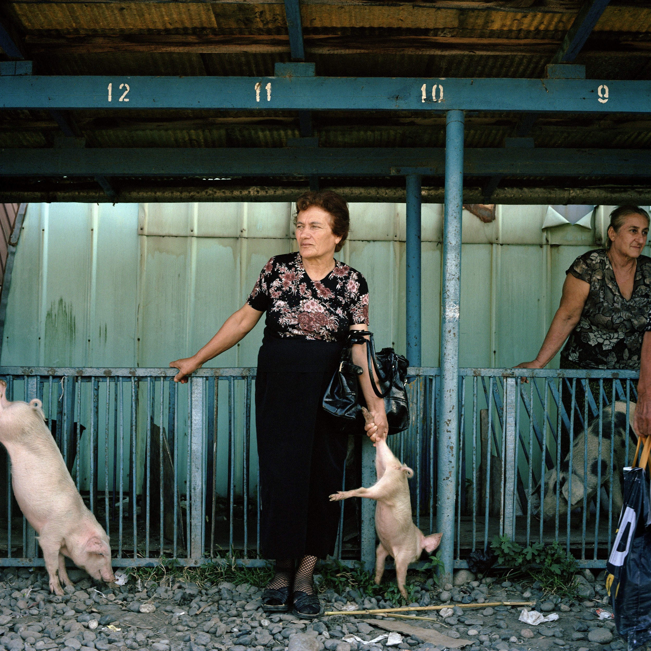 A Mingrelian Georgian woman waits to sell a piglet at Gali market.