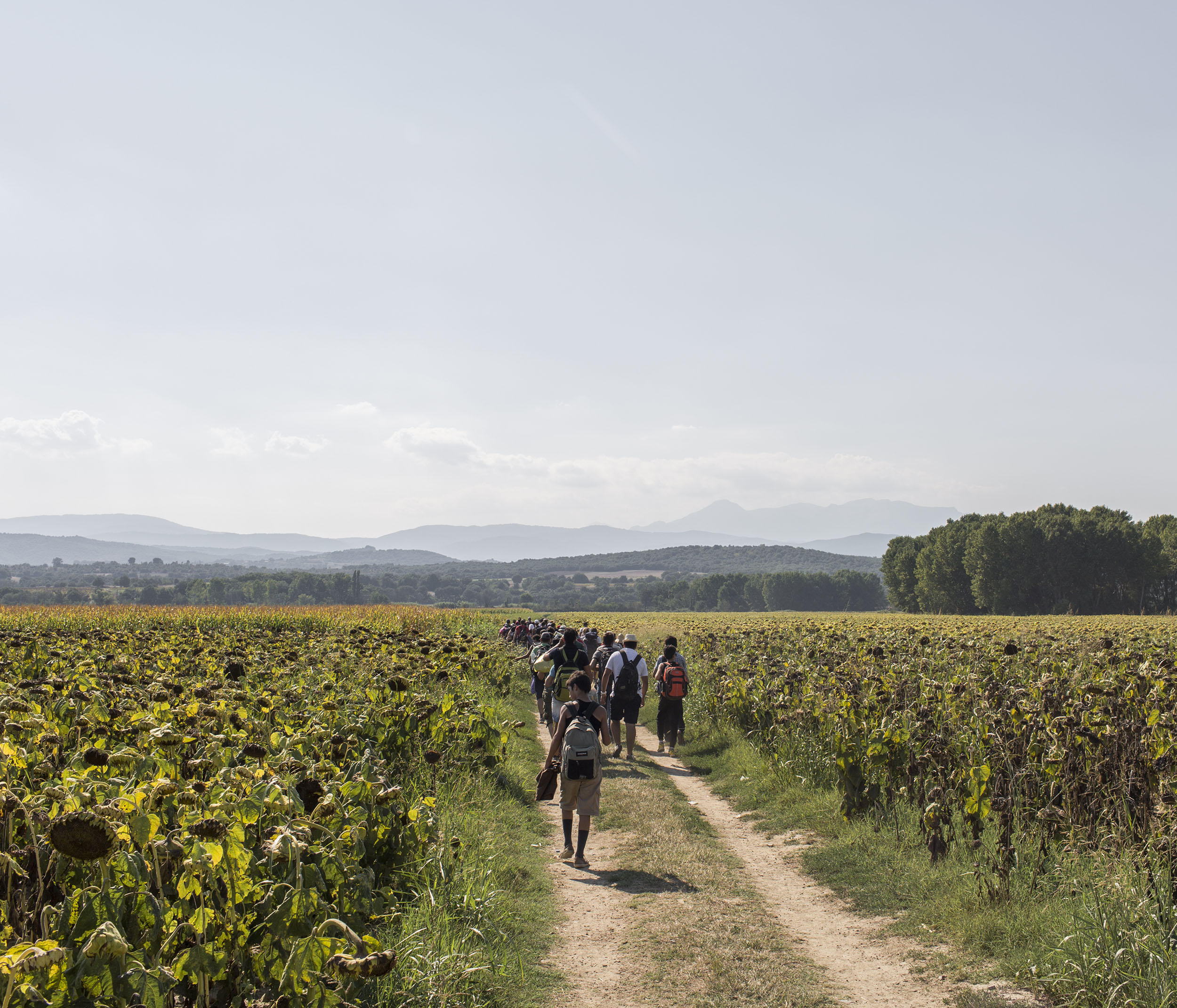 A group of Syrian Refugees walk the last 5km stretch of their journey to the border between Greece and the former Yugoslav Republic of Macedonia.