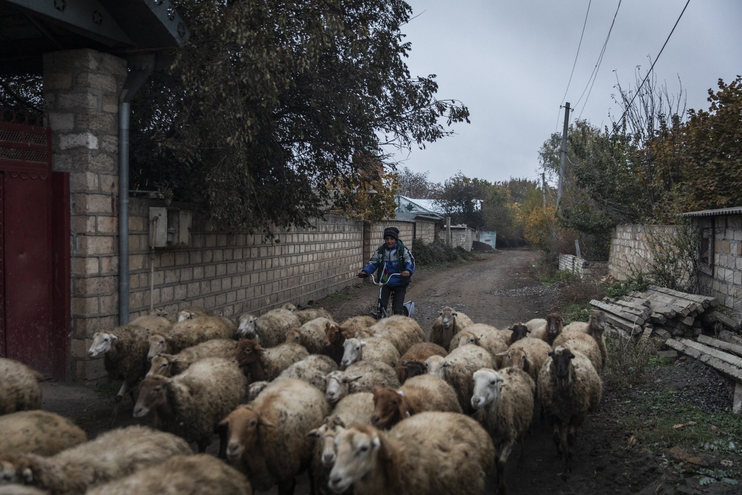  A young boy herded a flock of sheep through the village of Ciraqli, which sat on the frontline between Azerbaijani and Armenian forces near Agdam for nearly 30 years. 
