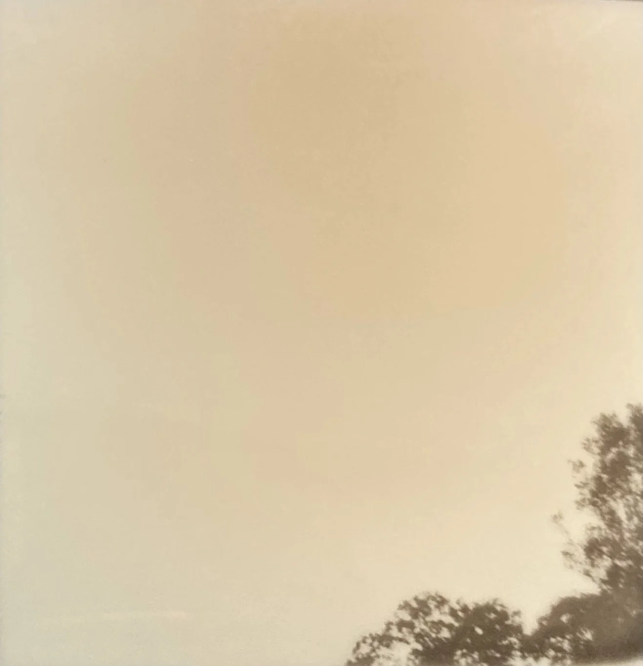 03f.jpg