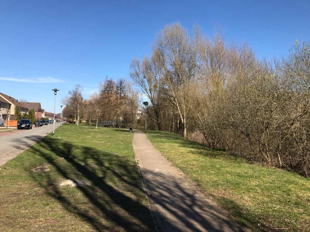 herrliche Grünlage.jpg