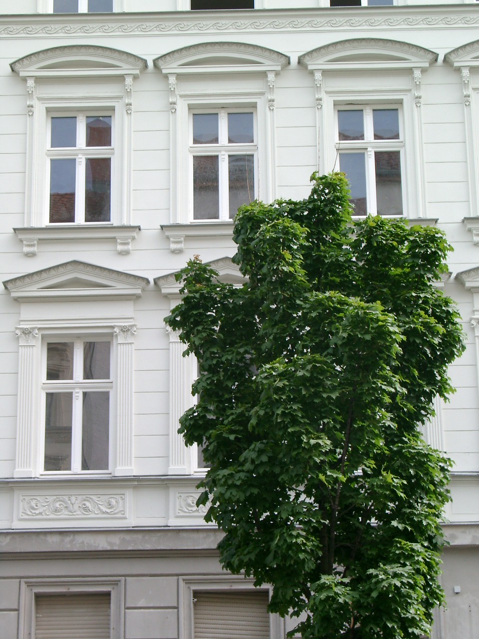 Zionskirchstraße Berlin-Prenzlauer Berg Gesuchte Trendlage seit Jahren und selten zu günstigen Preisen im Angebot. Hier wurde ein kleines Vorderhaus von einem leidenschaftlichen Bauträger sehr aufwändig saniert, mit einem BHKW zur Wärme- und Stromerzeugung sowie mit Aufzug ausgestattet. Verkaufspreise: ab 2.200,-- €/m²