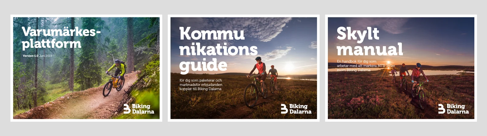 biking4.jpg