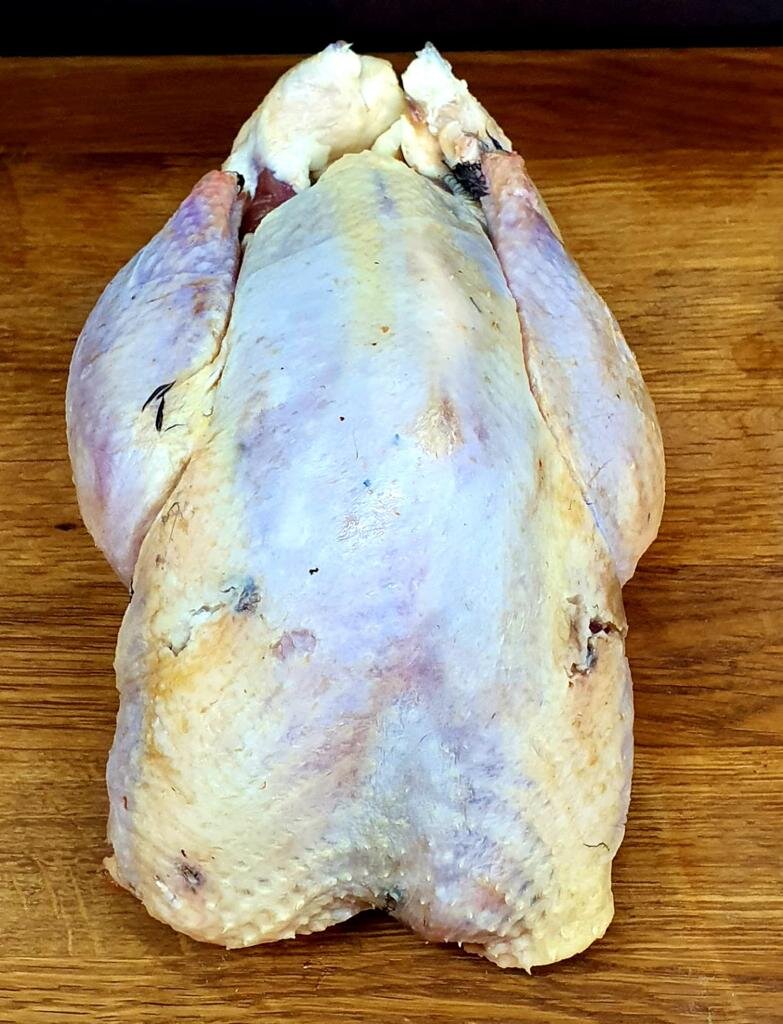 Pheasent.jpeg