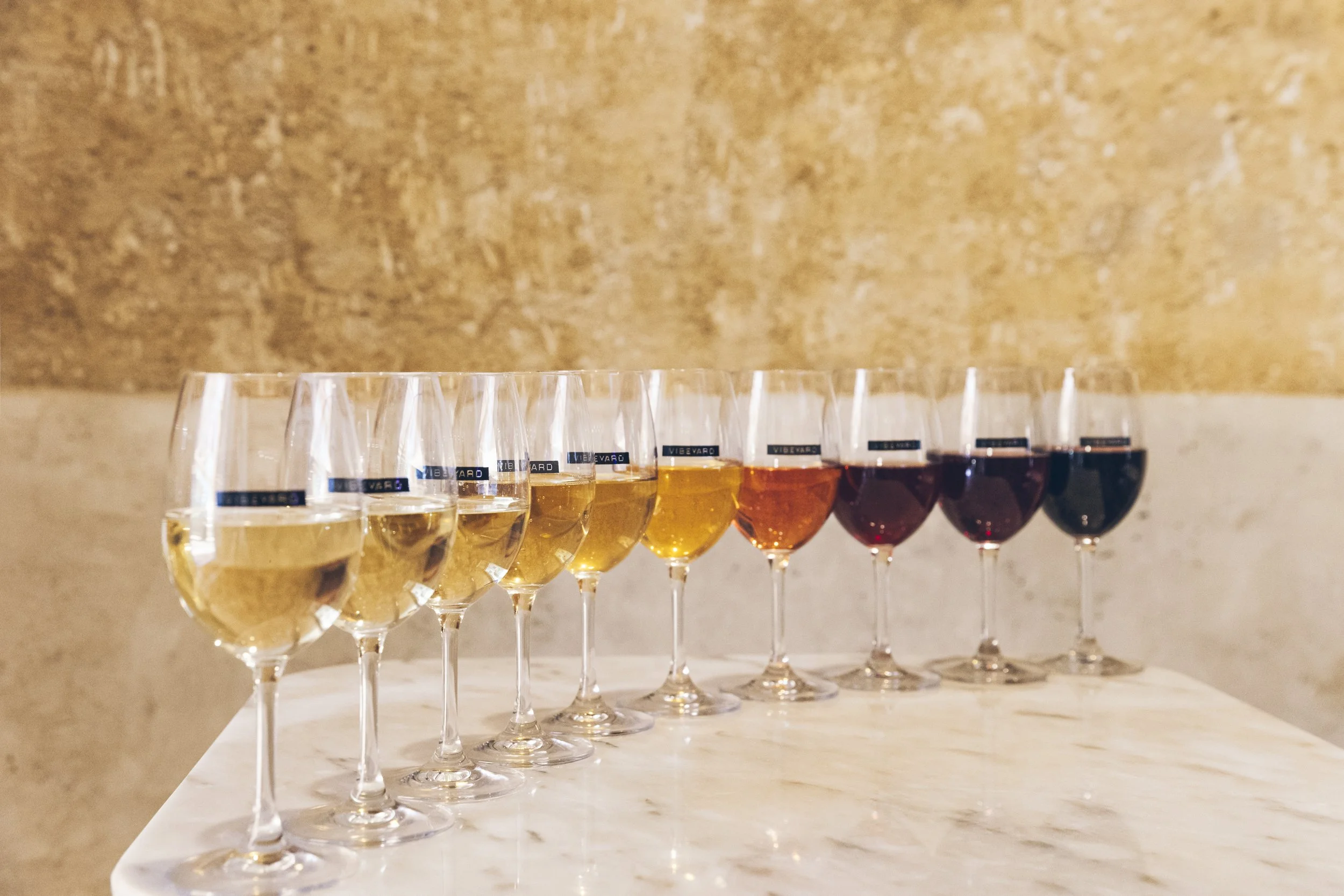 Lana Lenfant x Vibeyard_Food & Wine Finals-29.jpg