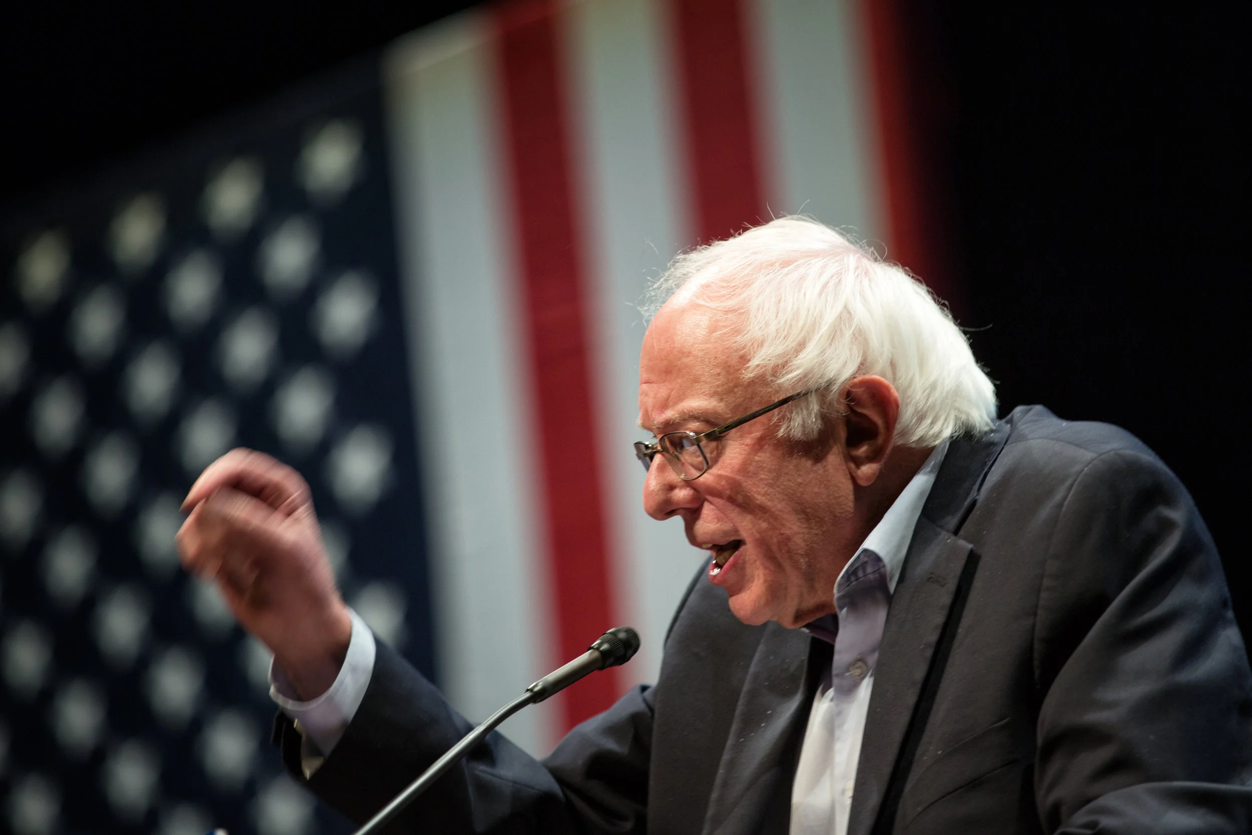 Bernie Sanders 08.jpg